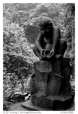 Monkey statue between Qingyin and Hongchunping. Emei Shan, Sichuan, China