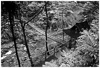 Suspension bridge between Qingyin and Hongchunping. Emei Shan, Sichuan, China ( black and white)
