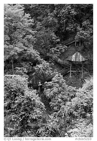 Path and pavillon on steep hillside between Qingyin and Hongchunping. Emei Shan, Sichuan, China (black and white)