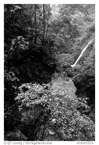 Waterfall between Qingyin and Hongchunping. Emei Shan, Sichuan, China (black and white)