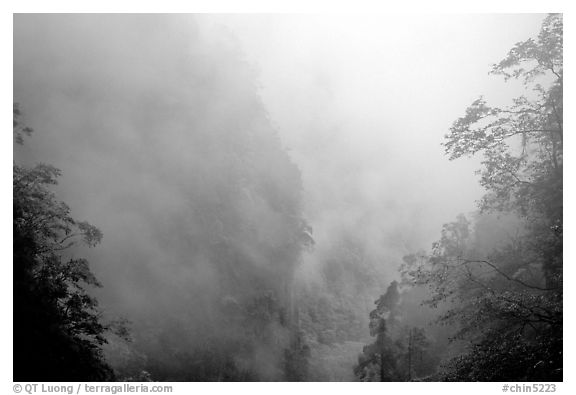 Cliffs and trees in mist between Hongchunping and Xiangfeng. Emei Shan, Sichuan, China (black and white)