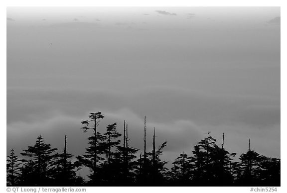 Sunset on a sea of clouds. Emei Shan, Sichuan, China (black and white)