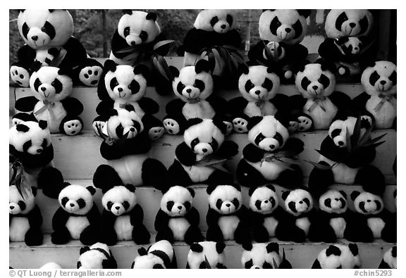Stuffed pandas for sale. Chengdu, Sichuan, China (black and white)