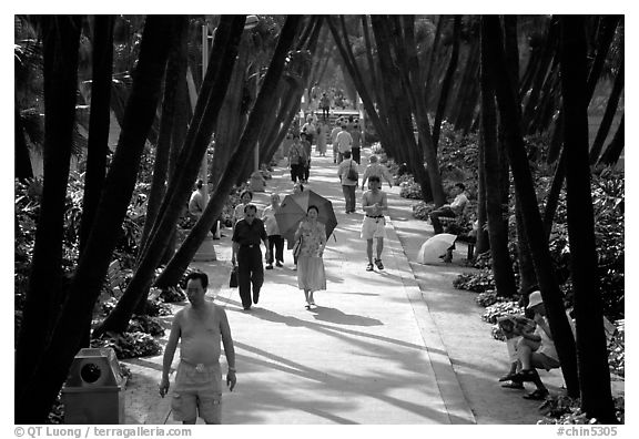 Walking to work and for exercie in a tree-lined alley of Liuha Park. Guangzhou, Guangdong, China (black and white)