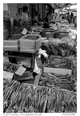 Strange animal parts for sale at the Qingping market. Guangzhou, Guangdong, China (black and white)