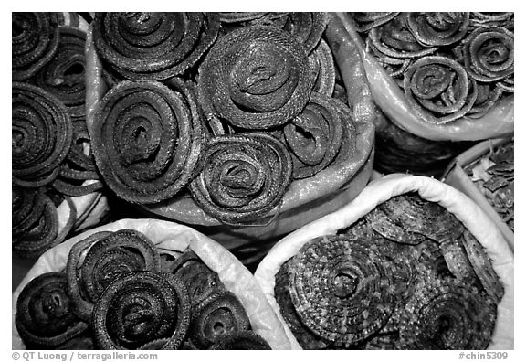 Coiled dried snakes for sale at the Qingping market. Guangzhou, Guangdong, China (black and white)