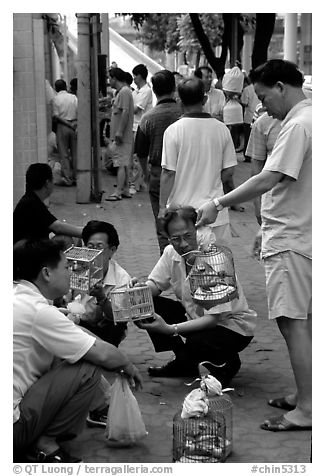 Peddling birds on the street. Guangzhou, Guangdong, China (black and white)