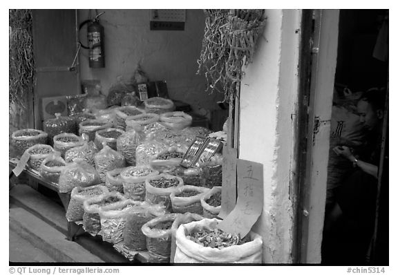 Herbs and fungus for sale in the extended Qingping market. Guangzhou, Guangdong, China (black and white)