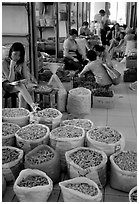 Woman selling dried food items inside the Qingping market. Guangzhou, Guangdong, China ( black and white)