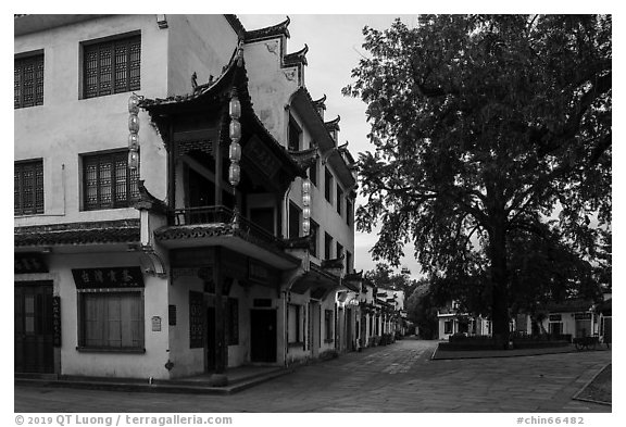 Village plaza with tree at dawn. Hongcun Village, Anhui, China (black and white)