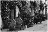 Houses iwth ivy. Hongcun Village, Anhui, China ( black and white)