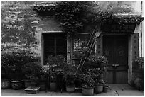 Facade with potted plants. Hongcun Village, Anhui, China ( black and white)