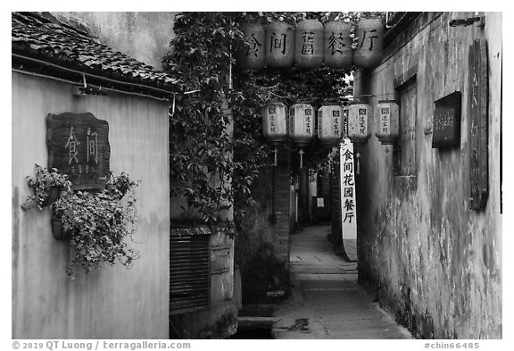 Alley with lanterns and plants. Hongcun Village, Anhui, China (black and white)