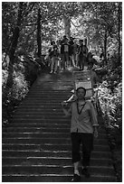 Sedan chair carriers on steep staircase. Huangshan Mountain, China ( black and white)