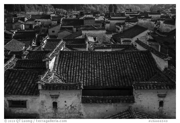 Tile rooftops. Xidi Village, Anhui, China (black and white)