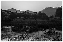 Pond and village at sunrise. Xidi Village, Anhui, China ( black and white)