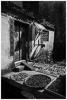 Harvest drying in front of village house. Xidi Village, Anhui, China ( black and white)