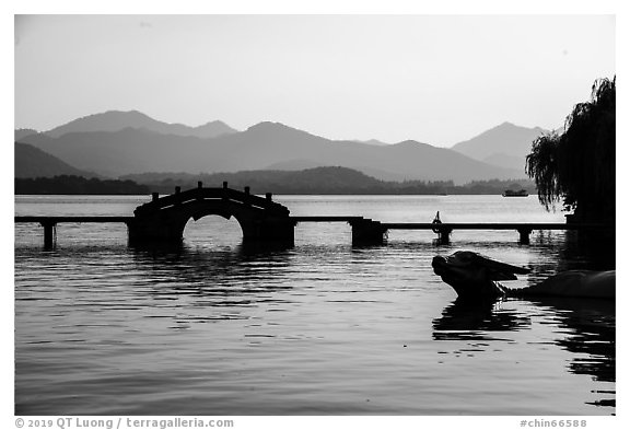 Yongjin Bridge and water buffalo, West Lake. Hangzhou, China (black and white)