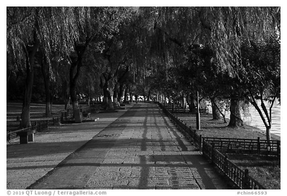 Willow-lined walkway, West Lake. Hangzhou, China (black and white)