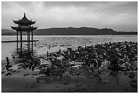 Jixianting and mermaid at sunrise, West Lake. Hangzhou, China ( black and white)