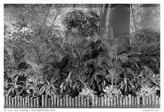 Plants and forest mural photograph, Taoyuan Airport. Taiwan (black and white)