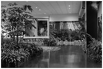 Room with plants and nature photos, Taoyuan Airport. Taiwan ( black and white)