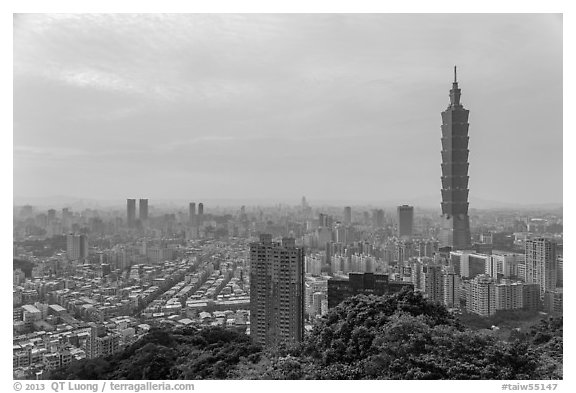 Taipei skyline with Taipei 101 tower. Taipei, Taiwan (black and white)