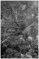 Trees, temple, and cliffs, Taroko Gorge. Taroko National Park, Taiwan (black and white)
