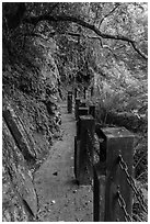 Cliffside trail, Taroko Gorge. Taroko National Park, Taiwan (black and white)