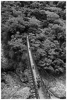 Hikers cross suspension bridge. Taroko National Park, Taiwan (black and white)