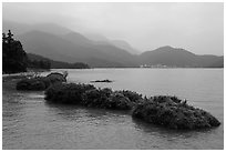 Floating gardens and misty mountains. Sun Moon Lake, Taiwan (black and white)