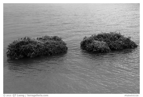 Floating rafts for cultivation. Sun Moon Lake, Taiwan (black and white)