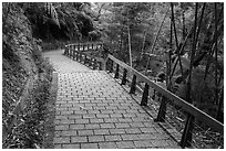 Path on Shabalan Mountain. Sun Moon Lake, Taiwan (black and white)