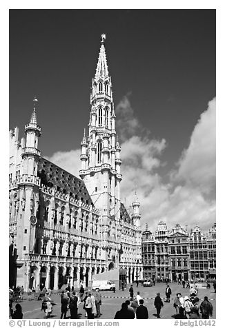 Grand Place and town hall. Brussels, Belgium (black and white)