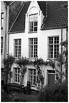House by the canal. Bruges, Belgium ( black and white)