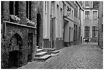 Coblestone street. Bruges, Belgium ( black and white)