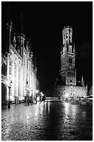 Provinciall Hof and belfry at night. Bruges, Belgium (black and white)
