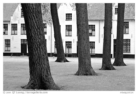 Courtyard of the Begijnhof. Bruges, Belgium