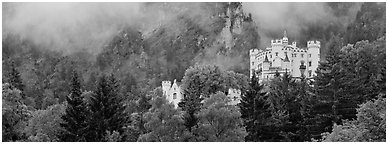 Hohenschwangau castle on forested hillside. Bavaria, Germany (Panoramic black and white)