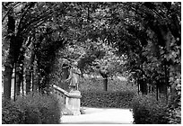 In the Residenz gardens. Wurzburg, Bavaria, Germany ( black and white)