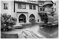Fountain and houses. Rothenburg ob der Tauber, Bavaria, Germany (black and white)