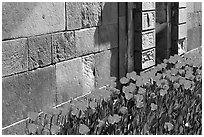 Tulips and wall, royal residence of Drottningholm. Sweden (black and white)