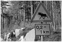 Moose crossing sign. Central Sweden (black and white)