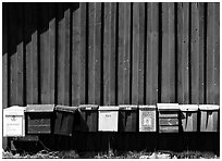 Row of mailboxes. Gotaland, Sweden ( black and white)