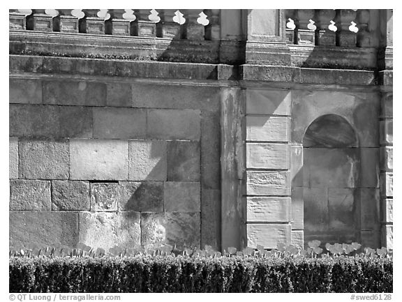 Tulips and wall, parks of royal residence of Drottningholm. Sweden (black and white)
