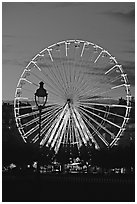 Ferris wheel in the jardin des Tuileries at sunset. Paris, France (black and white)