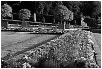 Flowers in formal gardens of the Versailles palace. France ( black and white)