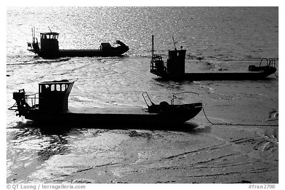 Flat-bottom fishing boats at low tide, Cancale. Brittany, France (black and white)