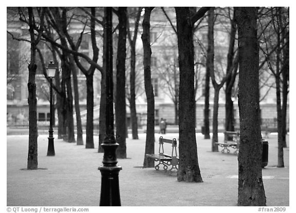 Park in winter, place Dauphine, ile de la Cite. Paris, France (black and white)