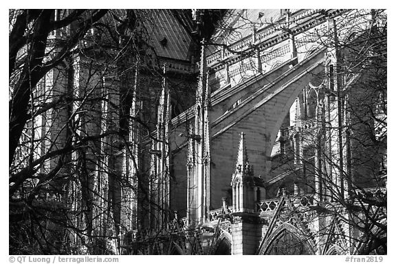 Notre Dame Cathedral buttress detail. Paris, France